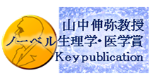 山中論文=2012年ノーベル生理学・医学賞受賞論文