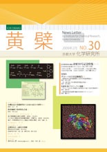 黄檗 : 京都大学化学研究所広報