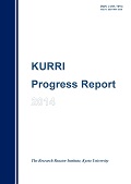 KURRI Progress Report